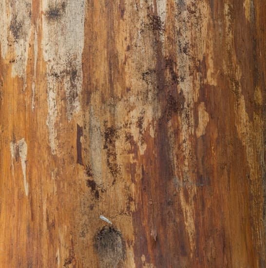 Kropf Woodworking 1 Kropf Woodworking