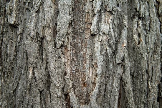 How To Use Sketchup Free For Woodworking 1 How To Use Sketchup Free For Woodworking