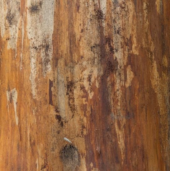 Free Woodworking Plans For A Desk 1 Free Woodworking Plans For A Desk