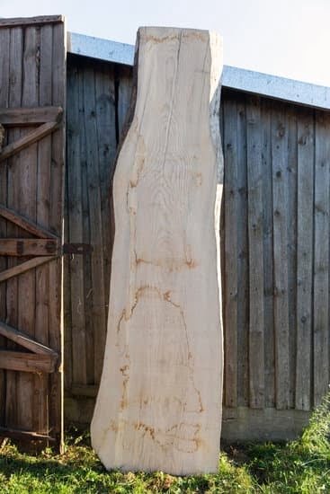 Types Of Woodworking Hand Saws