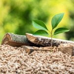 Sustainable Wood Choices Sustainable Wood Choices