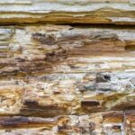 How to Woodwork Elder Scrolls Online Step-by-step guide: How to woodwork in Elder Scrolls Online