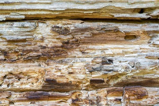 How to Woodwork Elder Scrolls Online 1 Step-by-step guide: How to woodwork in Elder Scrolls Online