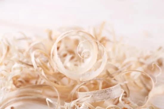 What Did the Original Woodworkers Make 1 Alt text suggestion: Illustration of original woodworkers creating various wooden objects using their craftsmanship skills