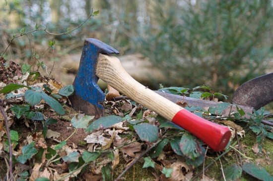 Router bits in woodworking: Enhance your woodworking projects with these versatile tools!