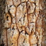 How Do Woodworking Pinch Clamps Work Step-by-step guide: Exploring the functionality of woodworking pinch clamps and how they work