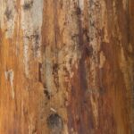 Easy step-by-step guide on how to gloss woodwork for a professional finish