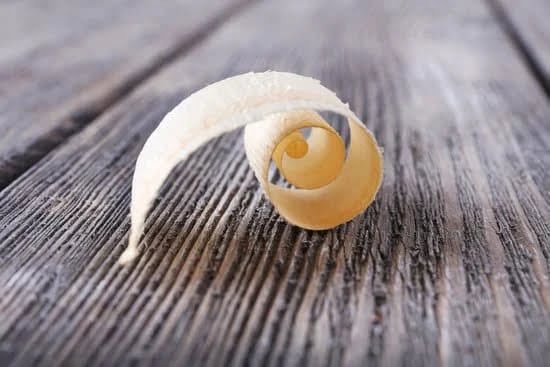 What Are the Best Woodworking and Maker Conventions 1 The 10 Must-Visit Woodworking and Maker Conventions: Explore the Best Gathering Spaces for Woodworkers and Makers