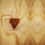 Is Hands on Woodworking Still in Business Is Hands On Woodworking still in business - Check their website for updates