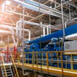 Expert carpenter creating wide woodwork with precision and skill