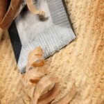 Does Old Varnish on Natural Woodwork Contain Lead Potential lead in old varnish on natural woodwork - test for safety