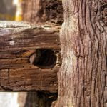 What Do I Need in Order to Do Basic Woodworking what do i need in order to do basic woodworking