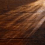 How to Stop a Dog From Chewing Woodwork How to stop a dog from chewing woodwork without causing harm or stress