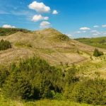 craftsmanship and motion in wood art