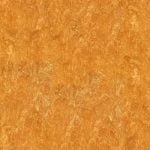 How to Season Wood for Woodworking Step by step guide on how to season wood for woodworking projects at home