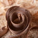 Should Oad Floor Be Darker Than Woodwork Comparison of should oad floor be darker than woodwork with light and dark wood tones