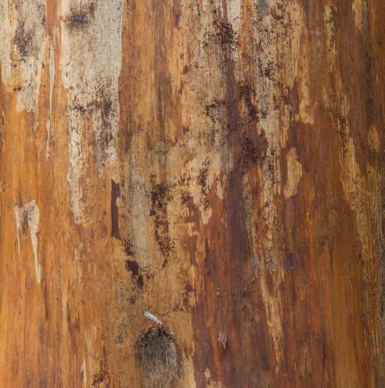 Milwaukee Woodwork 3 Expertly crafted MILWAUKEE WOODWORK for timeless beauty and durability