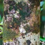 How to Build a Woodworking Table - Step-by-step guide on How to Build a Woodworking Table using affordable materials